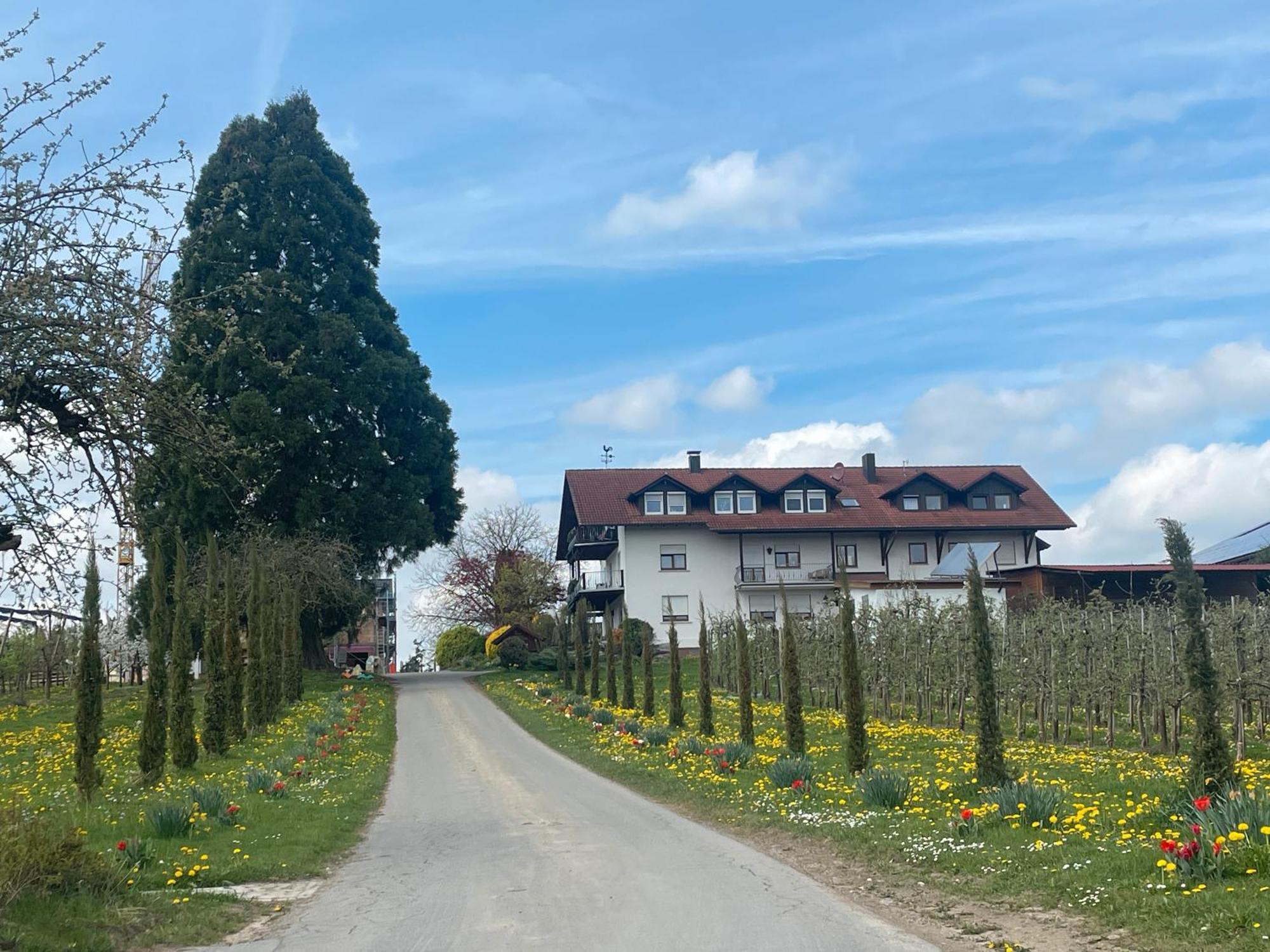 Bergchalet Mirabell - Hofgut Friedrichshafen Exterior photo